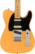 Fender Player Plus Nashville Telecaster Butterscotch Blonde (uusi)