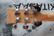 Ibanez GAX-30 sähkökitara (käytetty)