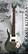 PRS S2 Standard 24 2016 Green Metallic (used)