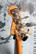 Fender Nate Mendel P Bass Candy Apple Red 2022+ kova laukku (käytetty)
