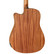 Tanglewood Roadster II TWR2 DCE Electric-Acoustic (new)