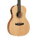 Tanglewood TWR2 PE Electric-Acoustic Guitar (new)