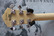 WASHBURN WI64 (used)