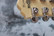 WASHBURN WI64 (used)