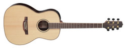 Takamine GY93E-NAT Parlor (new)