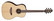 Takamine GY93E-NAT Parlor (new)