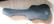 Fender Richie Sambora Standard Stratocaster 1995+  case (käytetty)