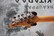 Schecter Nick Johnston Atomic Orange 2020 (used)