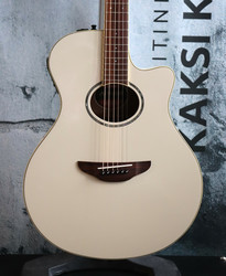 Yamaha APX600 (used)