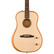 Fender Highway Series Dreadnought Natural (new)