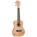 Tanglewood TWT6 Natural Satin konserttiukulele + gig bag (uusi)