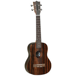 Tanglewood TWT19 Natural Satin Tenor (new)