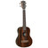 Tanglewood TWT19 Natural Satin Tenor (new)