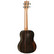 Tanglewood TWT19 Natural Satin Tenor (new)