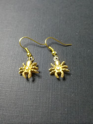 Gold colour spider earrings
