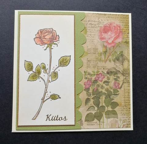 Thank you card with a rose
