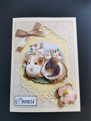 Guinea pig card