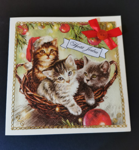 Christmas card cats