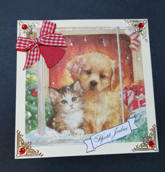 Cat and dog Christmas card