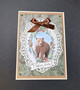 Bear themed Christmas card