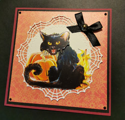 Black cat with a hat card