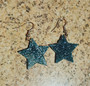 Frozen star earrings