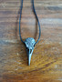 Raven skull necklace with vegvisir