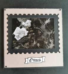 Raven card