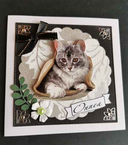 cat card