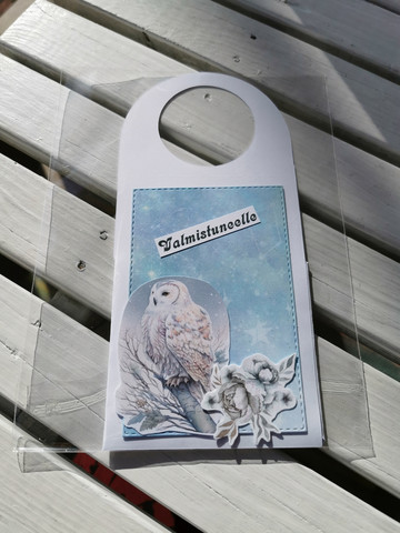 Pulloon laitettava valmistujaiskortti pöllöllä