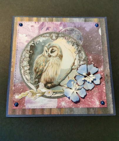 Owl card