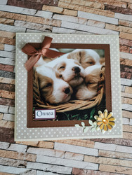 Dogs card