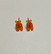 Orange gummy bears stud earrings