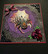 Spider card