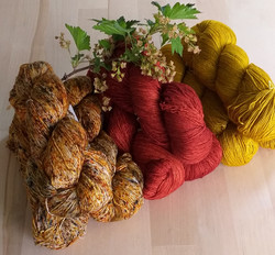 Malabrigo, Mechita