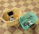 Baskets