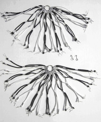 DRESS GUARD BLACK/WHITE