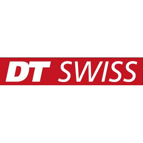DT SWISS COMPETITION 283 MM SILVER