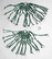 DRESS GUARD GREEN