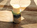 SHIMANO ALFINE 11 OIL SG-S700 50ML