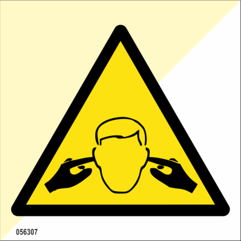 Noise