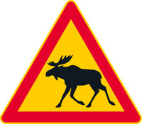 A20.1 Deer, A200020