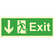Exit, alas vasen