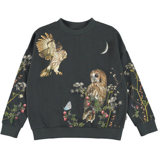 Molo Kids Maxi  collegepusero ( 1-7 V)