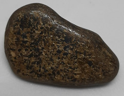 Bronzite kivi