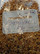 Siitepölyrae 20g