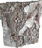 alttari taulu Aurinko