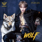 KIM WOO SUNG - WOLF (1ST MINI ALBUM)