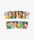 SEVENTEEN - SECTOR 17 - CLEAR PHOTO CARD SET