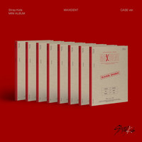 STRAY KIDS - MAXIDENT (MINI ALBUM) CASE VER. (MEMBER 8 TYPES 1 SET)